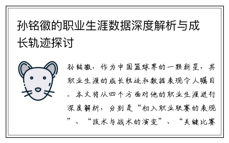 孙铭徽的职业生涯数据深度解析与成长轨迹探讨